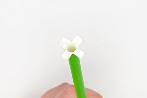 Egg Carton Flowers