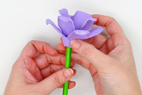 Egg Carton Flowers