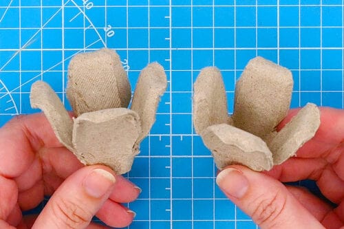 Egg Carton Flowers