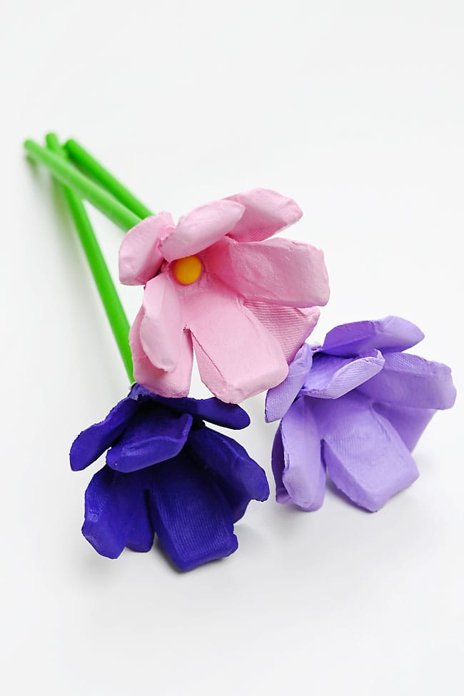 Egg Carton Flowers Craft Closeup on egg carton flowers craft