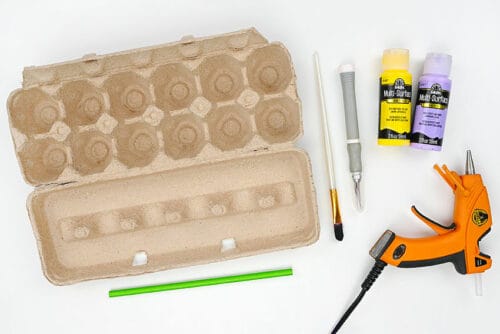Egg Carton Flowers Supplies