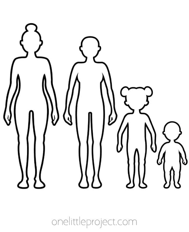 Female Body Outline Blank female body outlines featuring adult, teen, kid, and toddler