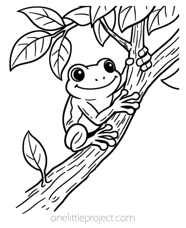 Frog Coloring Pages Frog Coloring Pages - adorable tree frog hanging from a branch