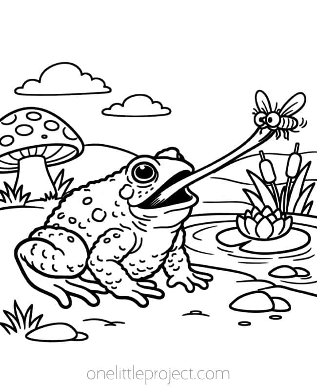 Frog Coloring Sheet Frog Coloring Sheet - bullfrog catching a fly
