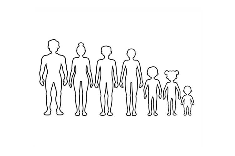 Human Body Outline