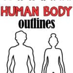 Human outline body
