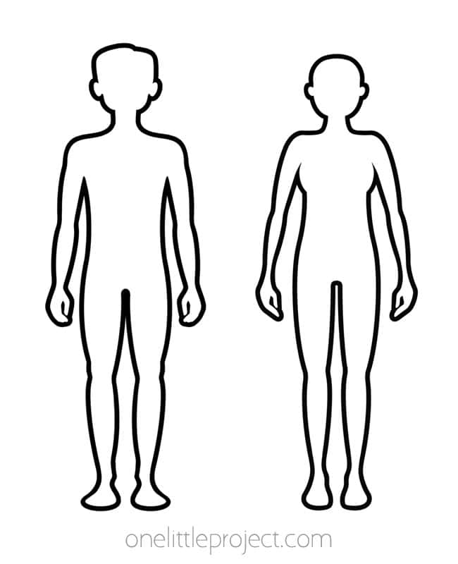 Human Body Template Boy and girl teenager body templates