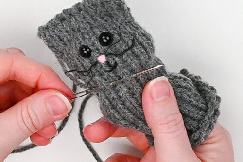 Loom Knit Cat