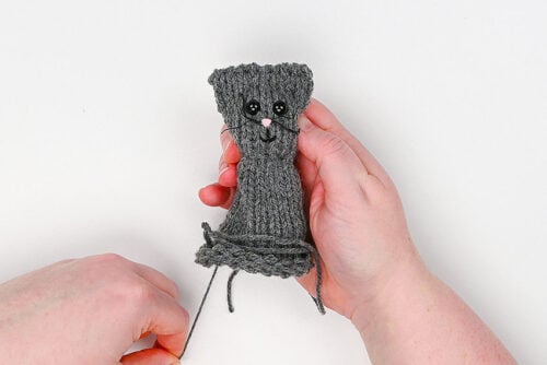 Loom Knit Cat