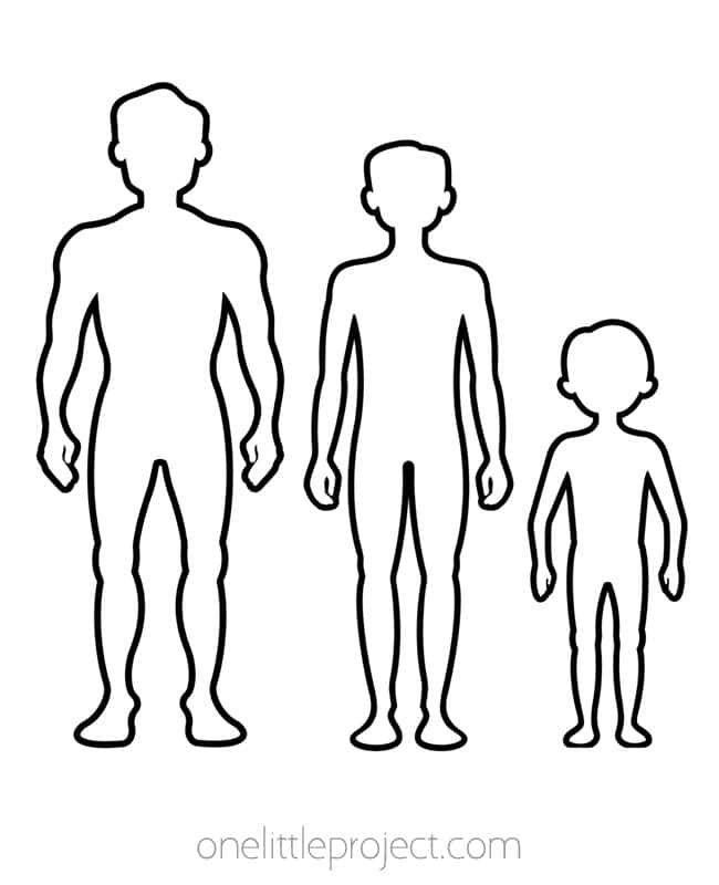 Male Body Outline Outline of male body with adult, teenager, and child