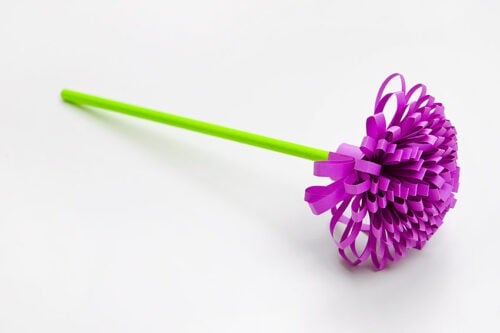 Paper Chrysanthemum Flowers