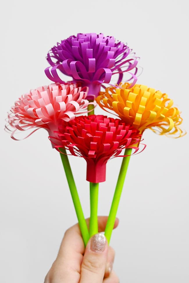 Paper Mums Holding cute pom pom mums made from paper