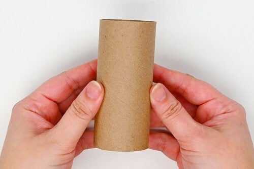 Toilet Paper Roll Butterfly