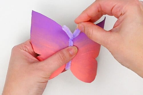 Toilet Paper Roll Butterfly