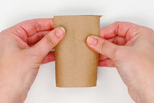 Toilet Paper Roll Butterfly