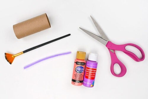 Toilet Paper Roll Butterfly Supplies