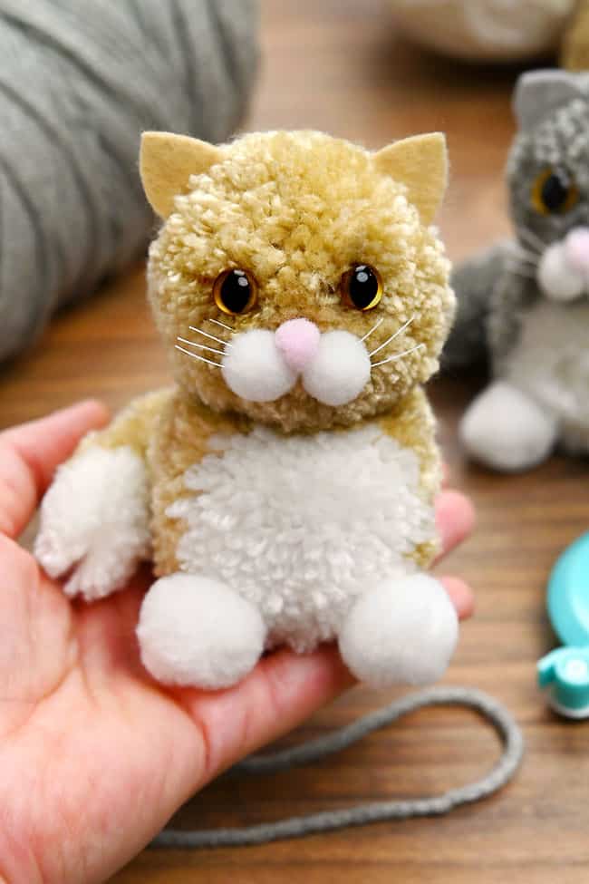 Holding a cute pom pom cat