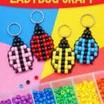 Pony beads ladybug keychain