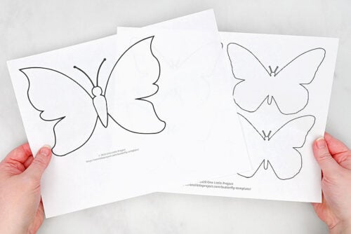 Butterfly chalk art