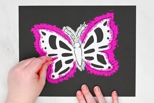Butterfly chalk art