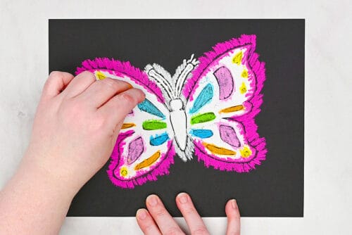 Butterfly chalk art
