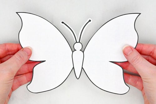 Butterfly chalk art