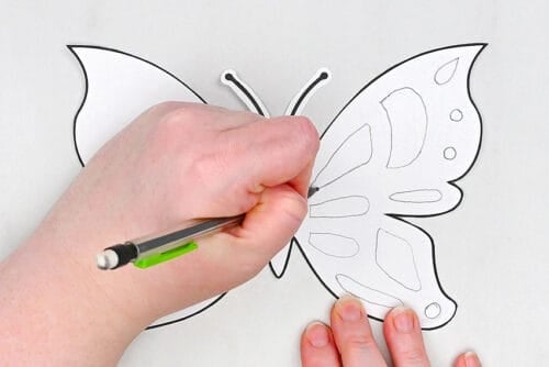 Butterfly chalk art