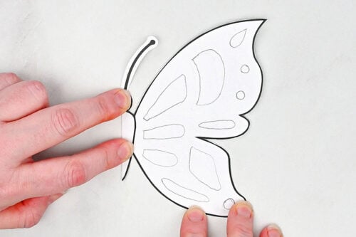 Butterfly chalk art