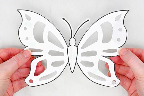 Butterfly chalk art