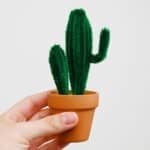 Cactus Craft