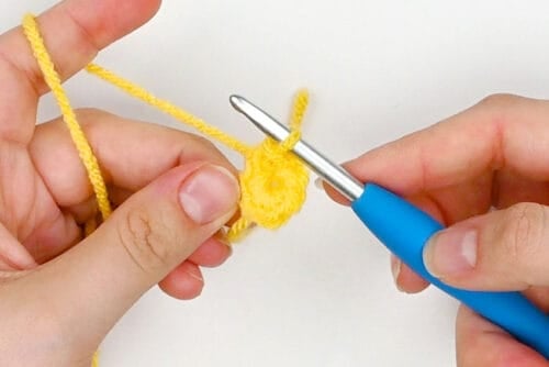 Crochet Bee