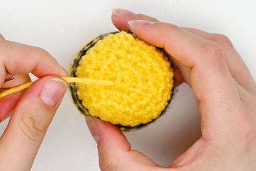 Crochet Bee