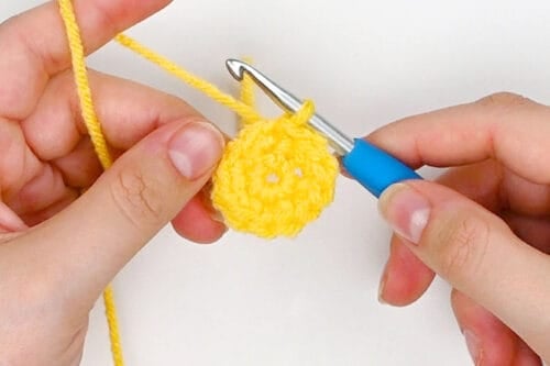 Crochet Bee