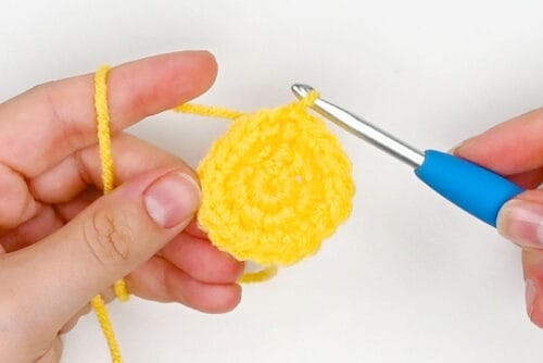 Crochet Bee