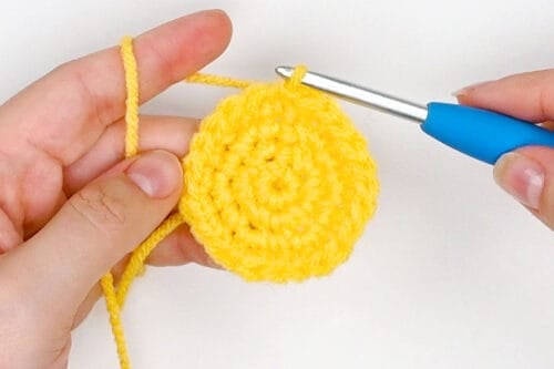 Crochet Bee