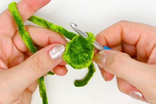 Crochet Pickle