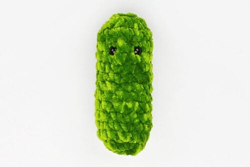 Crochet Pickle