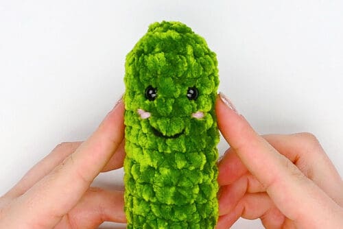 Crochet Pickle