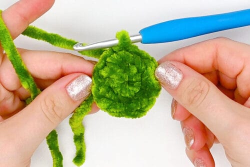 Crochet Pickle