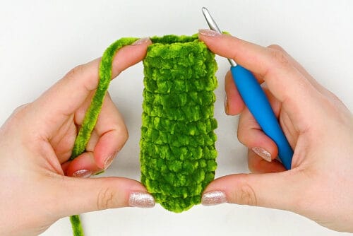 Crochet Pickle