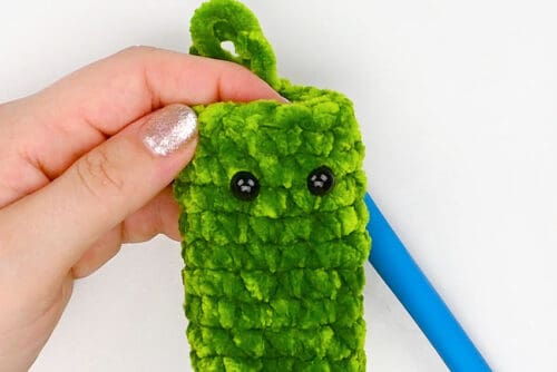 Crochet Pickle
