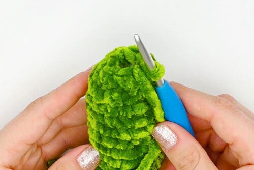 Crochet Pickle