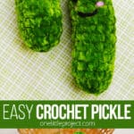Emotional support pickle pattern free