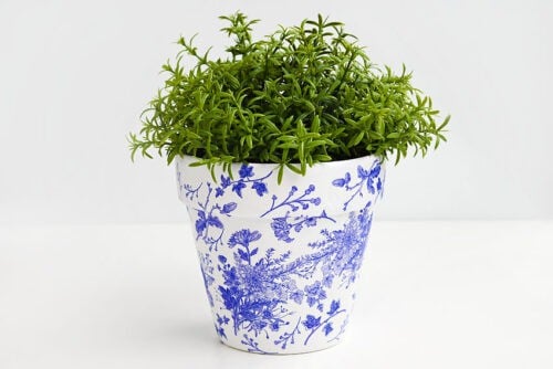 Decoupage Flower Pots