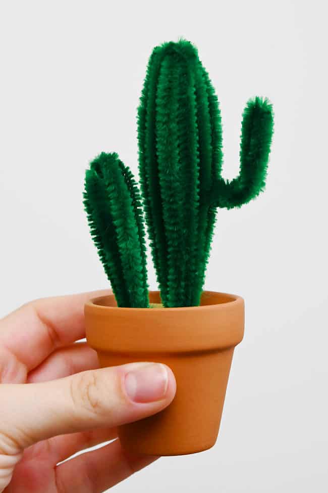 How to Make a Pipe Cleaner Cactus Holding a dark green DIY cactus craft in a clay pot