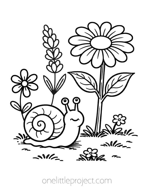 June Coloring Pages June Coloring Pages - snail and flowers