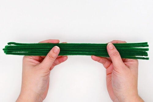 Pipe Cleaner Cactus
