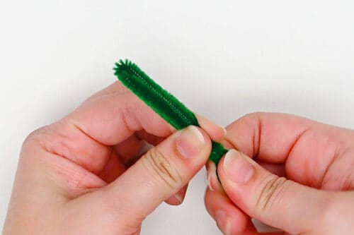 Pipe Cleaner Cactus