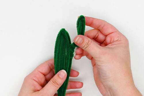 Pipe Cleaner Cactus