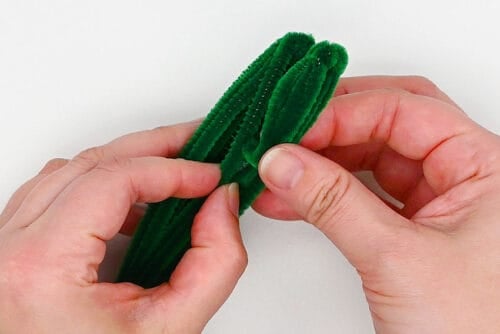 Pipe Cleaner Cactus